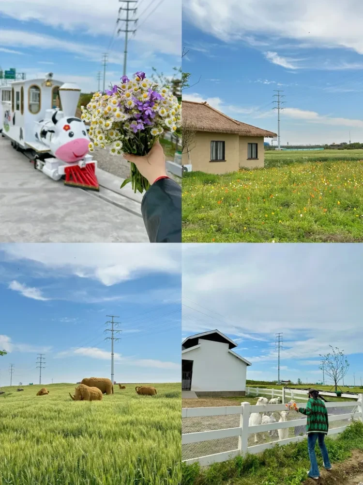 4ba4cf8b1b90c43b79ca7f97b22deac0-sz_2691636 4ba4cf8b1b90c43b79ca7f97b22deac0-sz_2691636