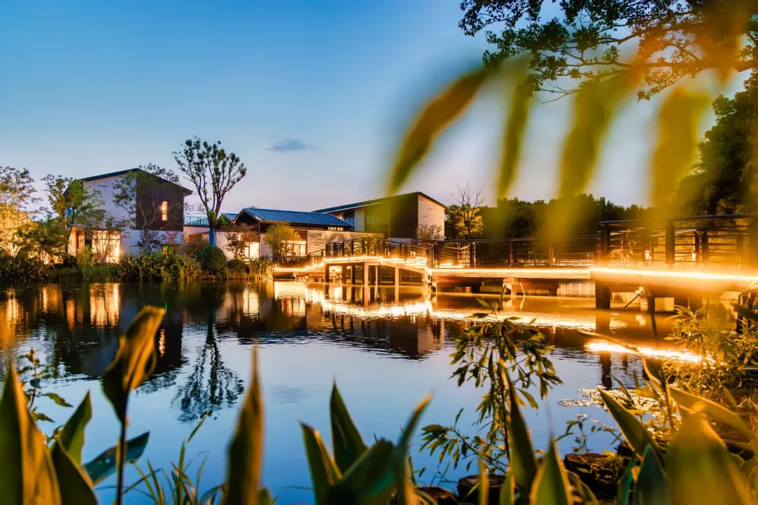 4bbac1a743231754715f9350a6650e68-sz_604982