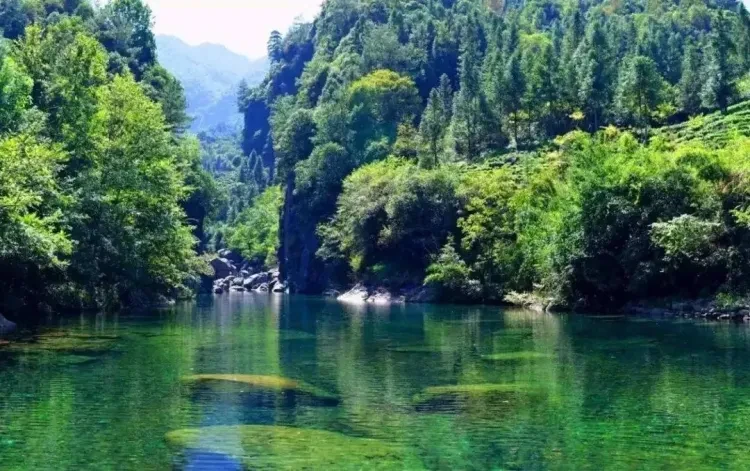 4bd9a203e9a7116f16868a95d5b82d06-sz_193429