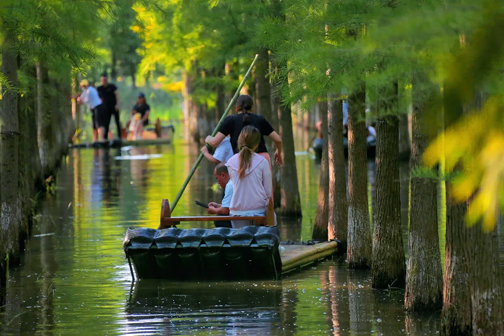 4be7876b94780894170ee55928cee2a8-sz_1219173