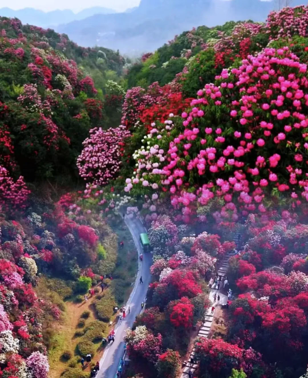 4befb70e0f1e8f7e74e2371b099b0f3b-sz_699082 4befb70e0f1e8f7e74e2371b099b0f3b-sz_699082