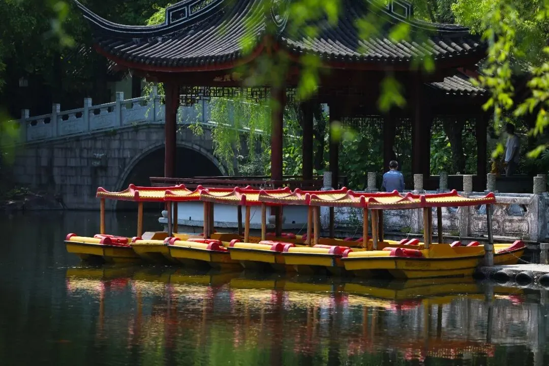 4c457d2303d46f6a16d7ca887fe41d6d-sz_151050