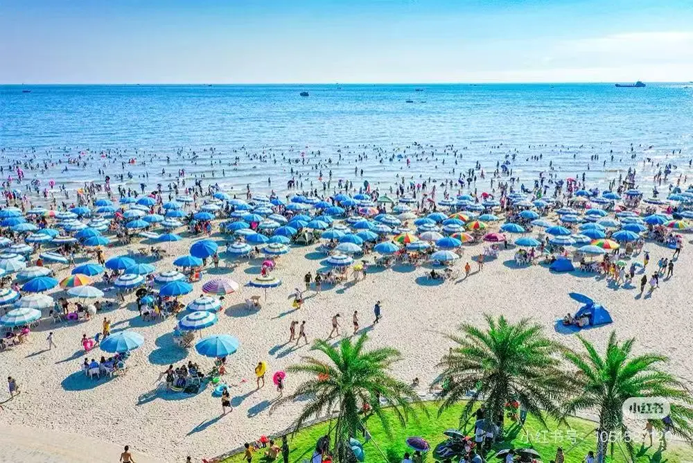 4c7fa6e044f98f96f15bb34ff9557bad-sz_190822