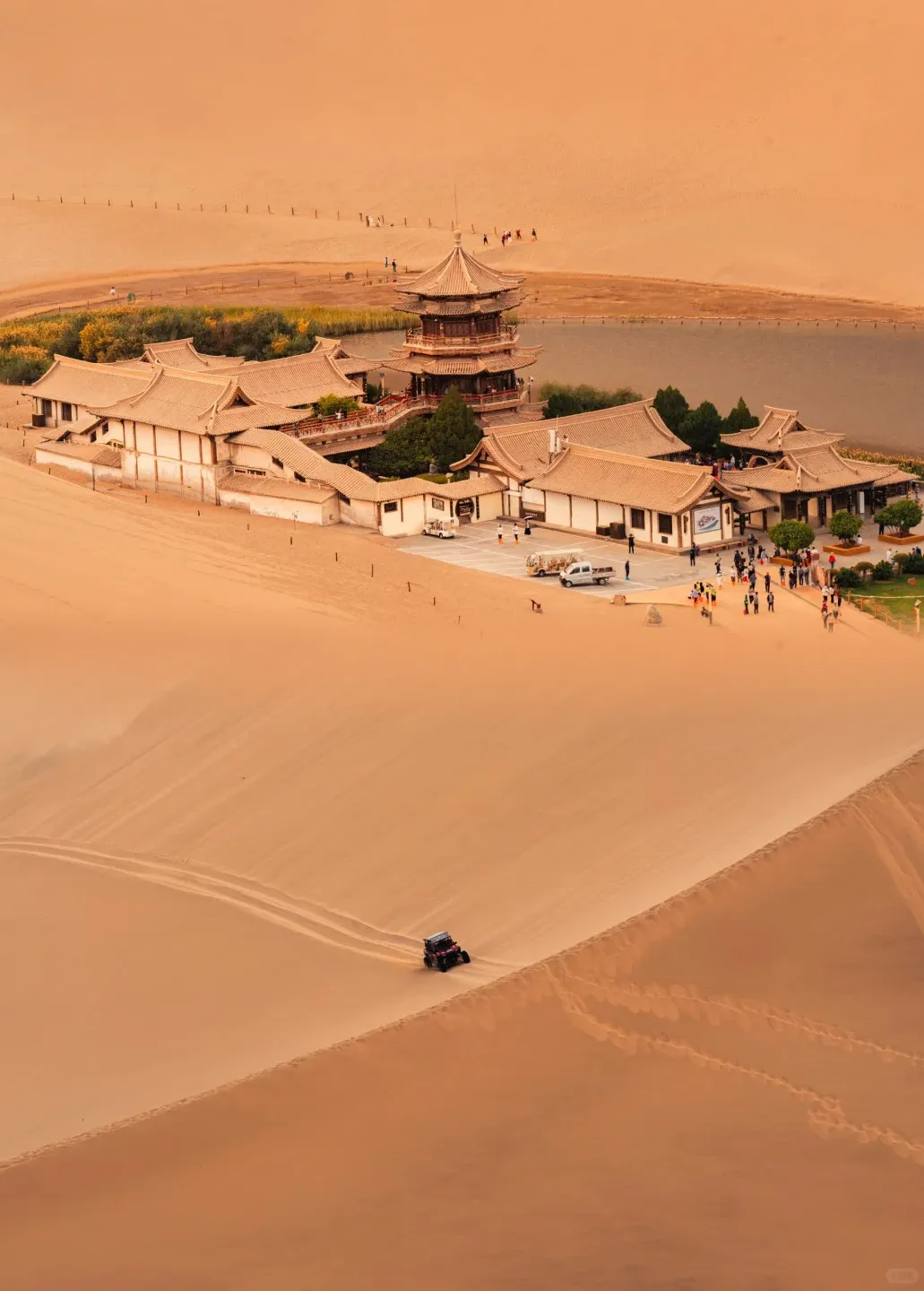 4ca42617d9d7c26e769f59a755896f08-sz_488727