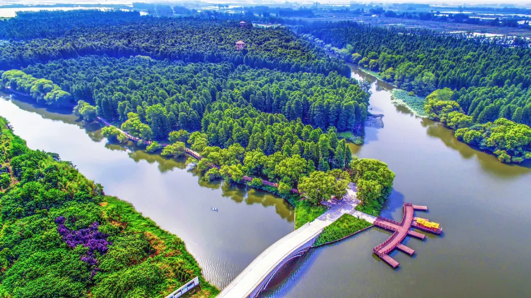 【499元/人扬州瘦西湖-兴化千垛油菜花汽车纯玩3天2晚】2晚高邮清水潭度假酒店-含2早4正-免费棋牌娱乐