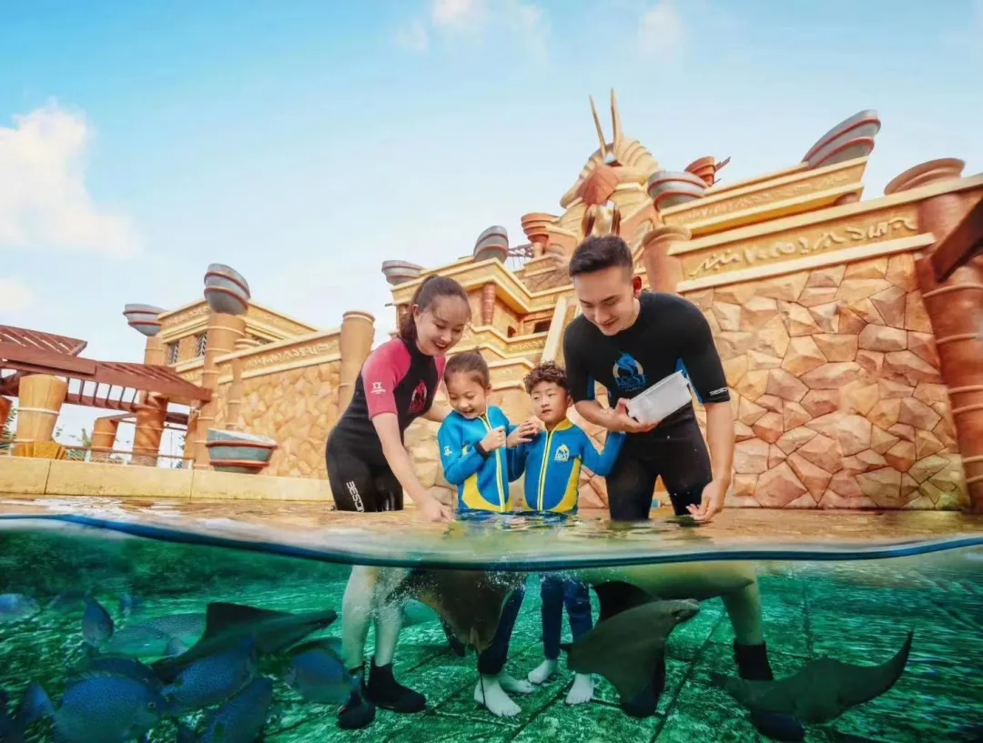 4d206291b8e40cf026cd379338aa5f06-sz_865617