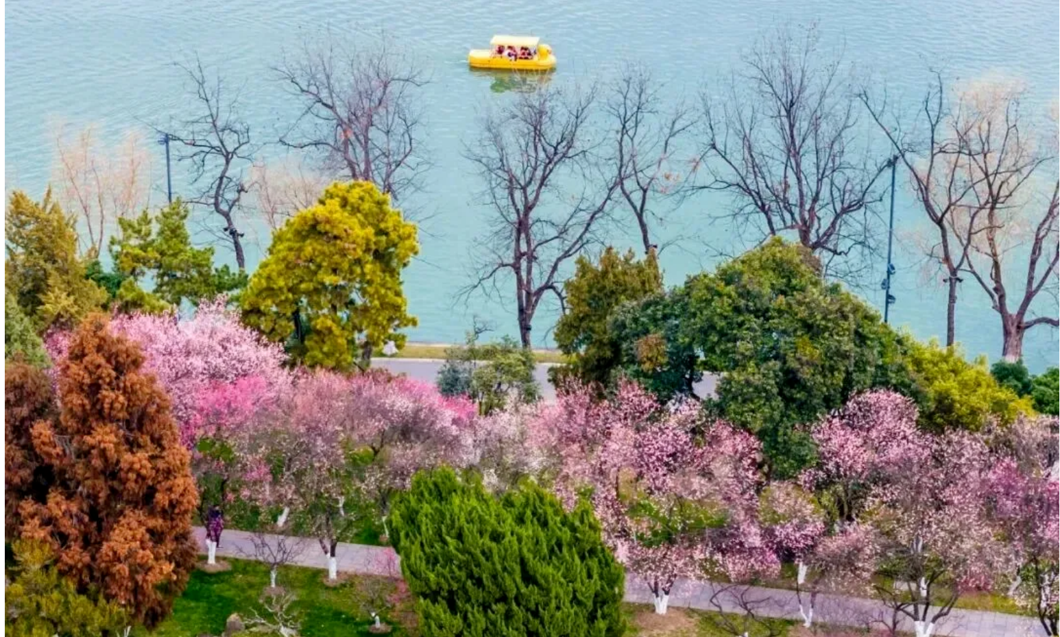 4dede4880be72750037eaf510206ff47