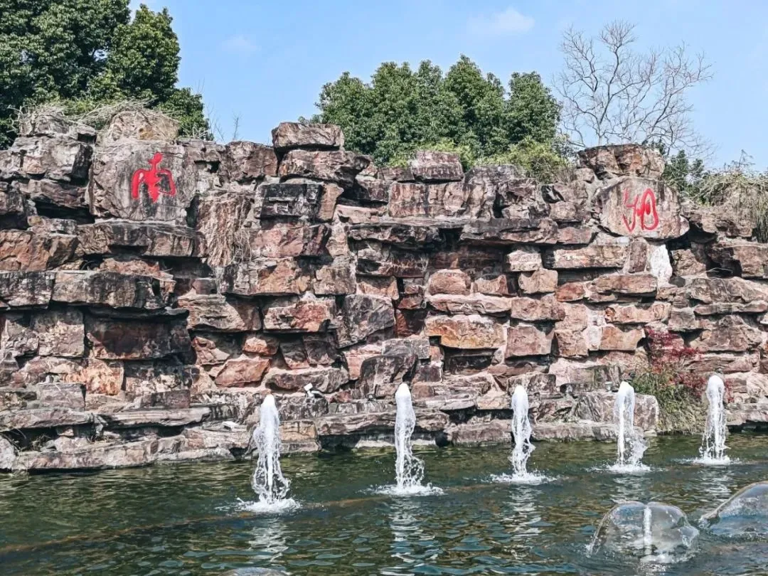 4e07c2b5276df8f72a6e4525eb4e7b89-sz_480004