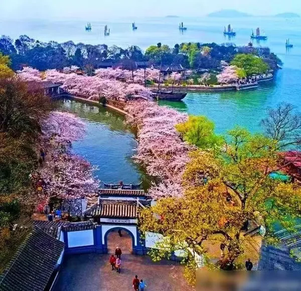 4e324a8e4b85ca4caa247cf80c9b0547-sz_205530