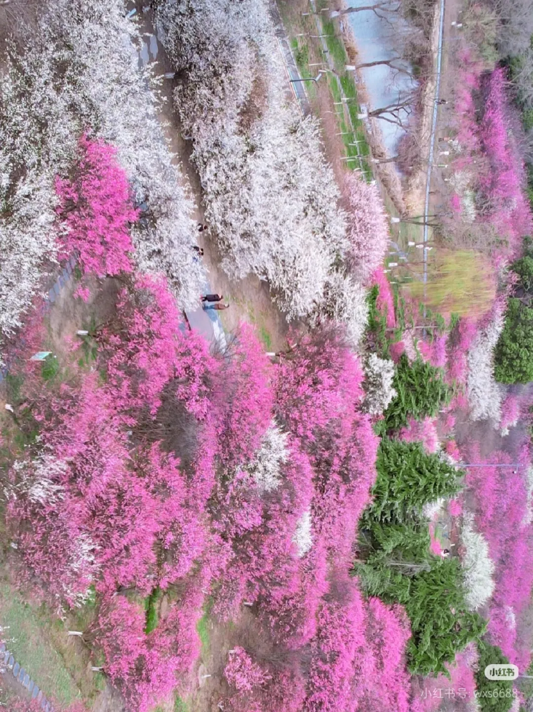 4e423a596c633843548d92c1e469bedf-sz_1786131