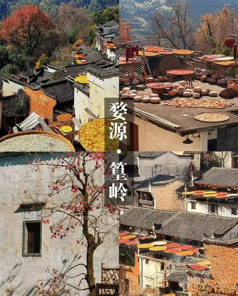 4e54c445c36154f52be6797f87cae218-sz_283751 4e54c445c36154f52be6797f87cae218-sz_283751