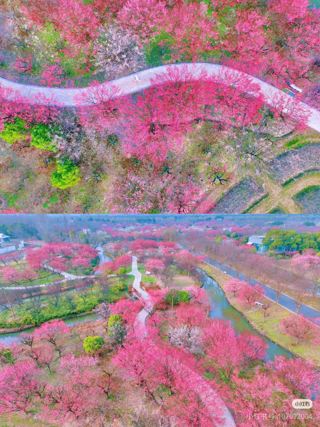 【199春天里的一把火！双锅齐上阵 纯玩不套班 赏花踏青 纯玩三日】全程跟车两晚入住携程2钻当地3星免费赠送空调一车送3-4桌棋牌畅打2早4正餐 真纯玩