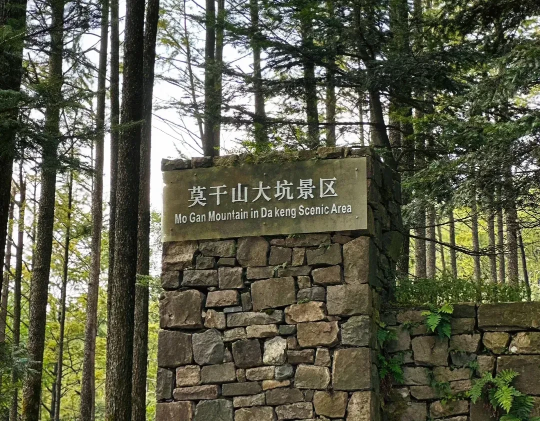 4e9f26f21c7faaa8adf6341d632ba8c9-sz_4311105