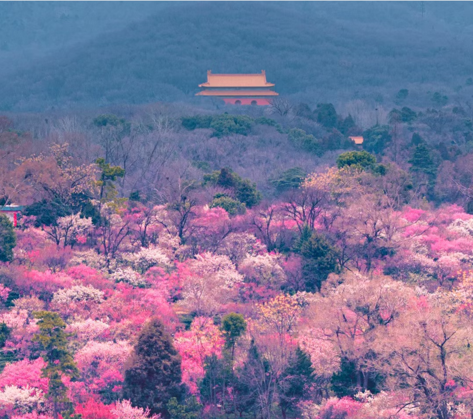 4ef95ce18ec524abee2ea6185e4eb09d