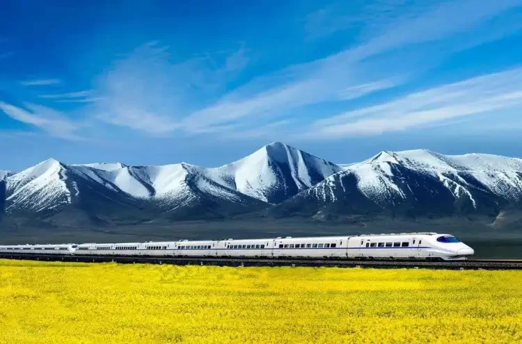 4f553a968935042d74bc5f1ae6370cf3-sz_102796