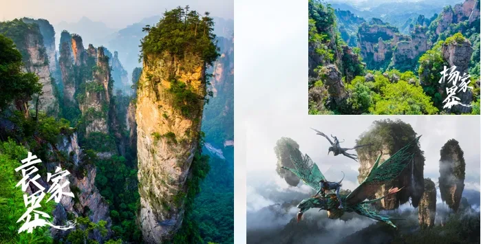 5069052fd10c50bfbc880c8a2c34b030-sz_526891