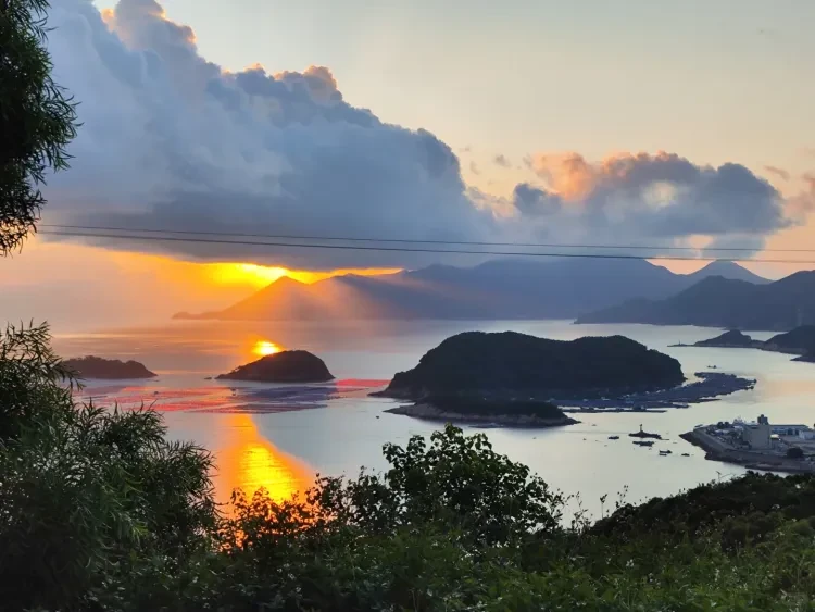 5151f8cd2492cd86b199eb2d6400b59d-sz_2036229