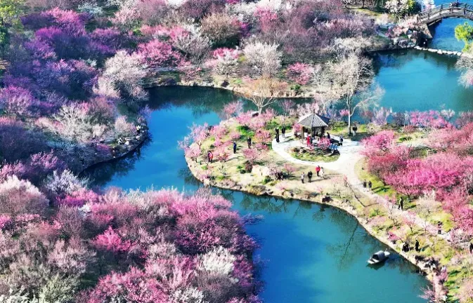 515fe12c315d57ae41075054aeeb15d5-sz_927690 515fe12c315d57ae41075054aeeb15d5-sz_927690