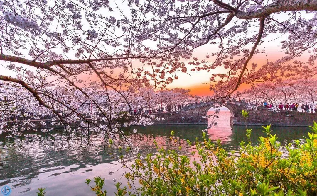 5163374ac6842c92659e0aa26a0f2050-sz_259839-1