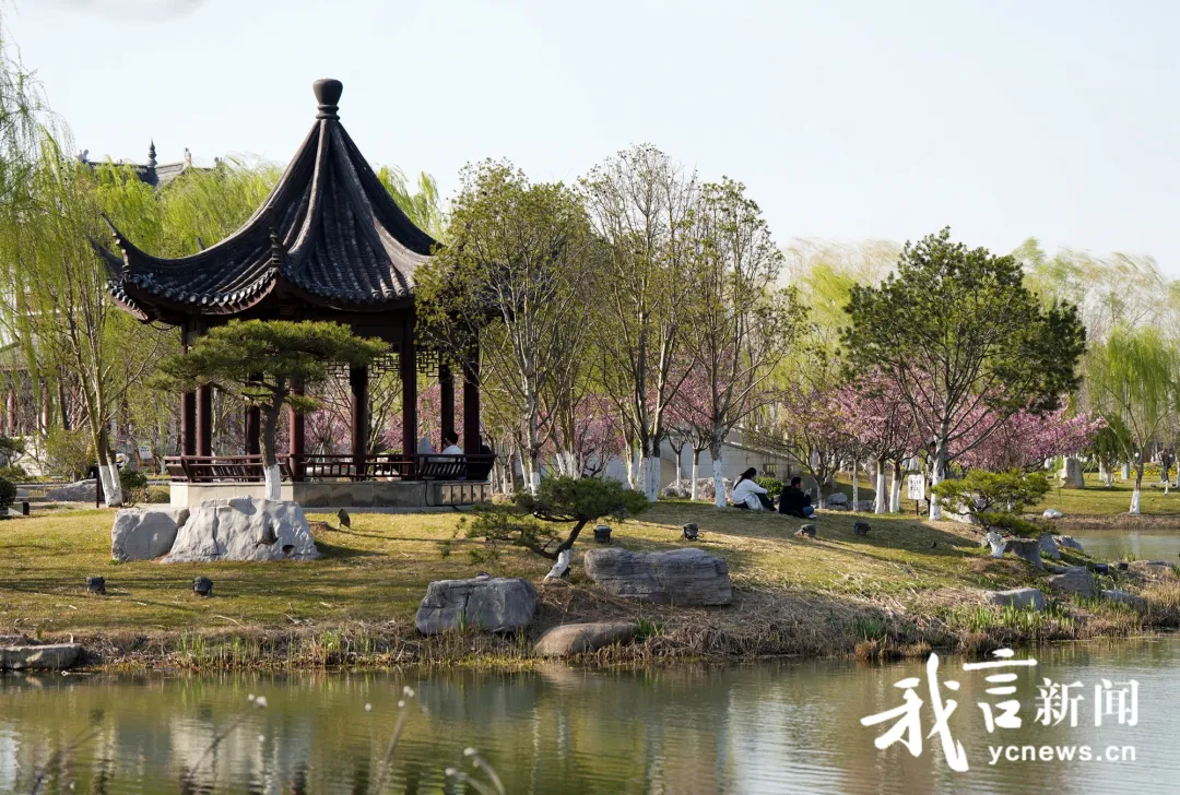 518bbc42194d2245c2d5f146c849b20c-sz_1097503