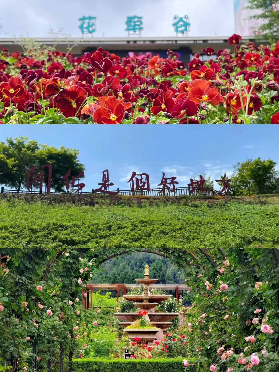 518df05b2192f11c8fc5f2eaf3f335d1-sz_3584555