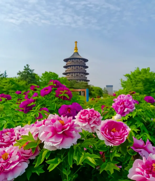 519601e34951ca6ddc04106f237ae8fe-sz_744273 519601e34951ca6ddc04106f237ae8fe-sz_744273