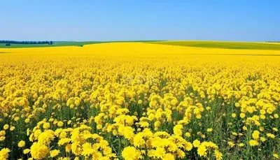 51ff468026899119d0ec304aa10ff1c4-sz_32442 51ff468026899119d0ec304aa10ff1c4-sz_32442