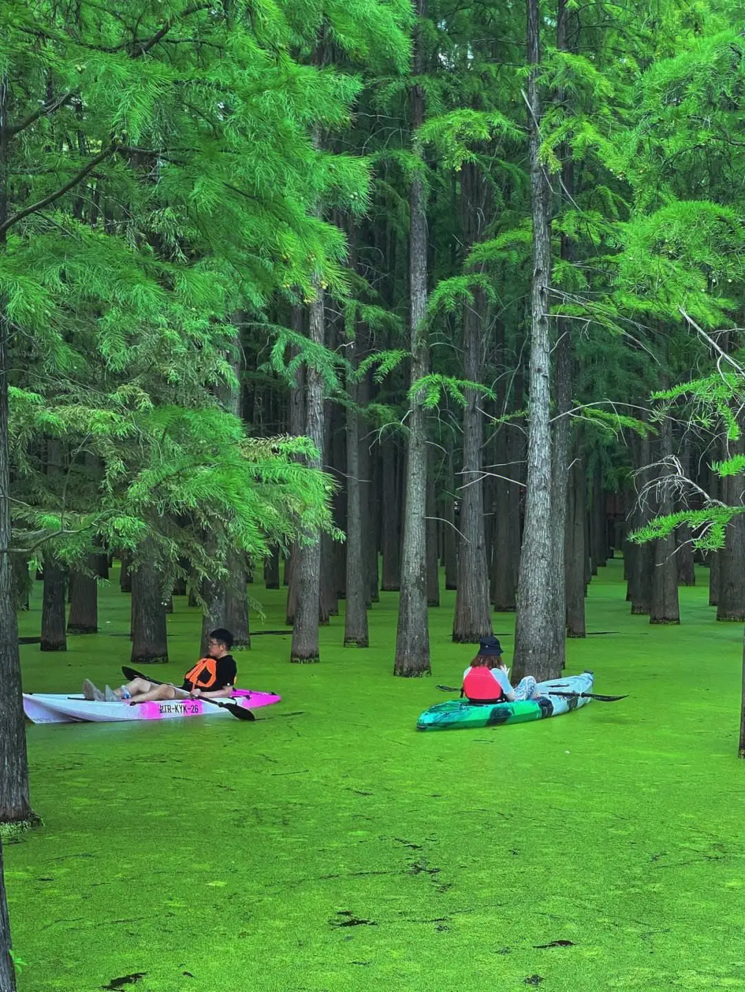 527f5258abebaf4faf4a282841a5d07c-sz_303701