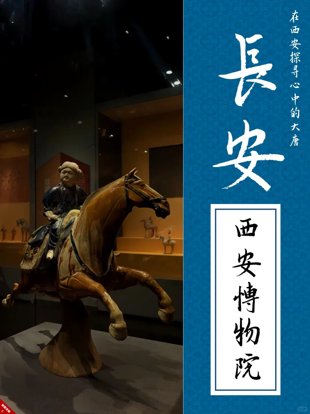 52804979d81e95434fc958301ea3feb8-sz_1706405