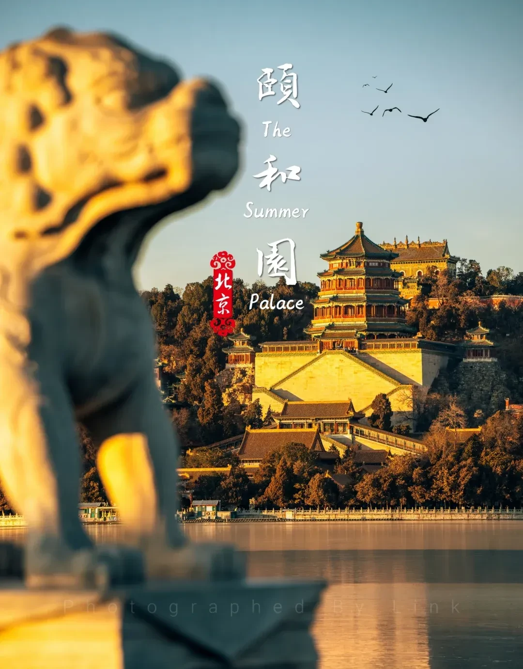 528ca4d60815778f424288b7726cb55c-sz_1816672-1