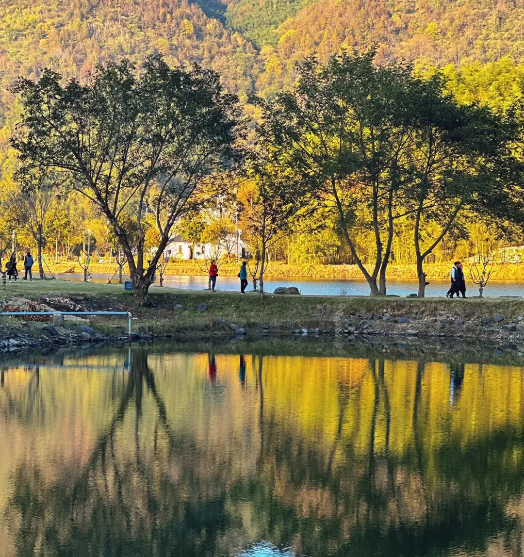 529cd0b92524df8cc9a6aff693fe1fda-sz_791039