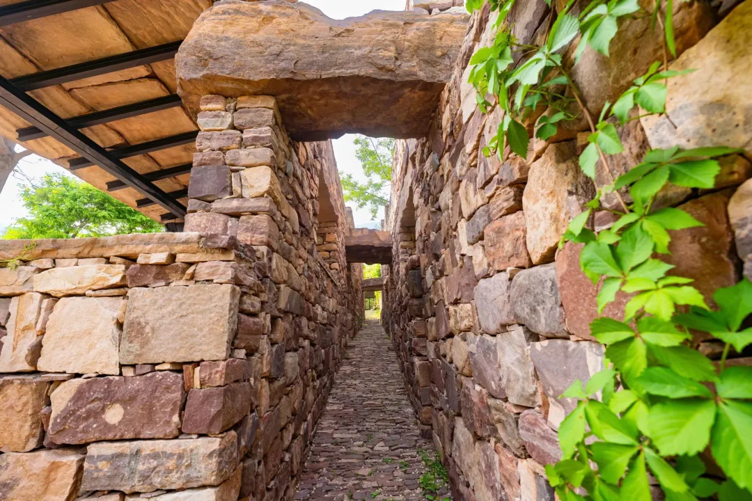 52a65d7dbd41857cd1986108a7607121-sz_869129