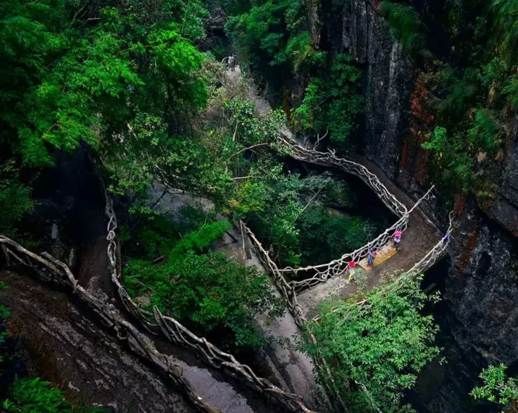 52b1bafea4131f44cc961308aea7b2d5-sz_166044 52b1bafea4131f44cc961308aea7b2d5-sz_166044