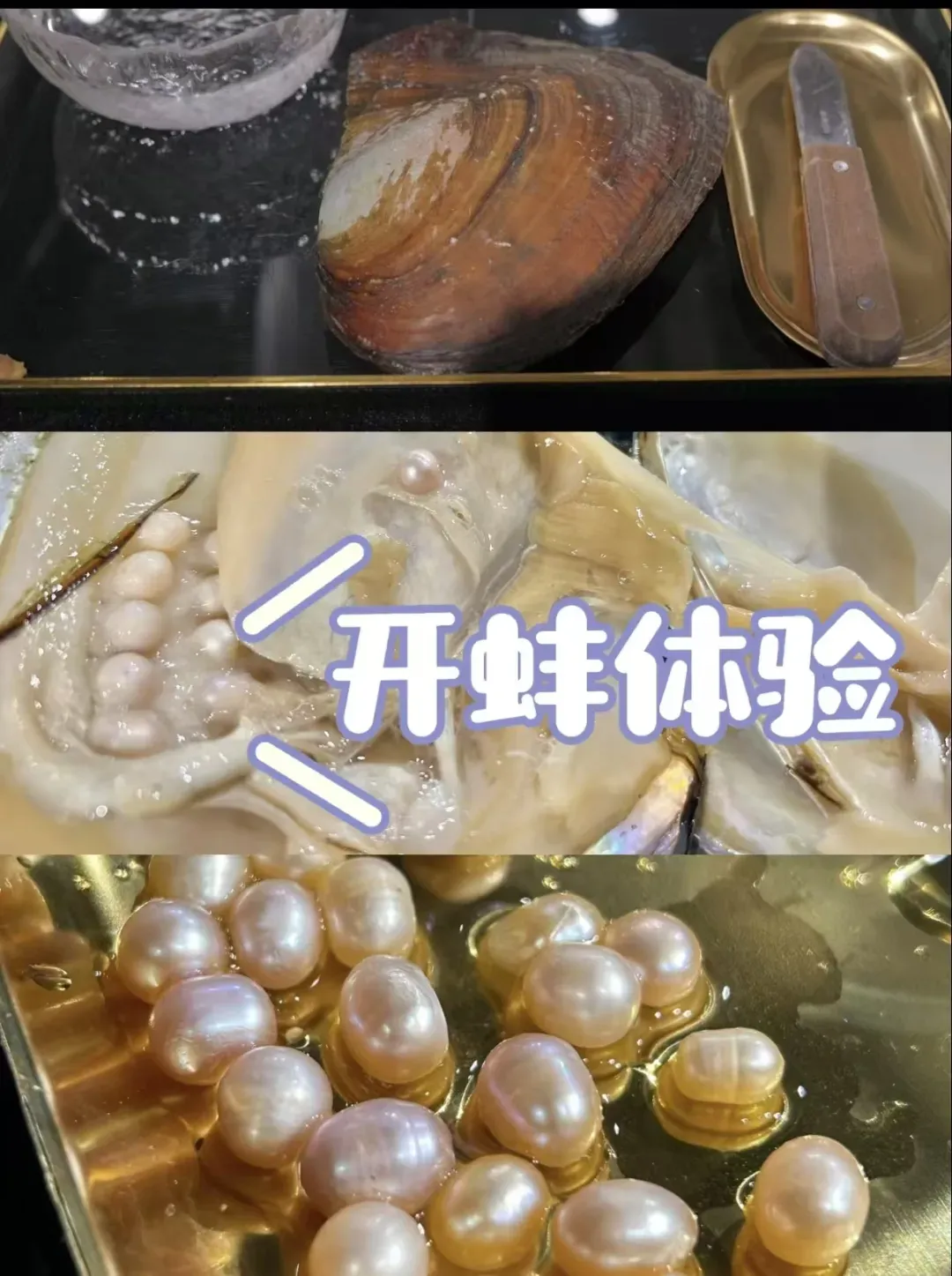 530fce55f176cff655415ae59b56fada-sz_1559894 530fce55f176cff655415ae59b56fada-sz_1559894