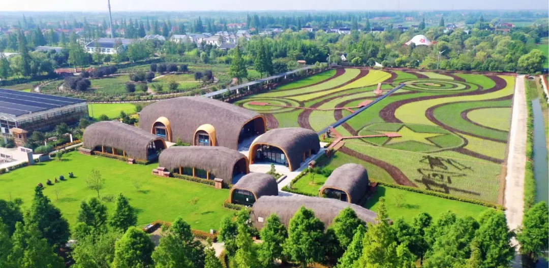 538980dd7fbeab59439f0aed1eaf4107-sz_5572008