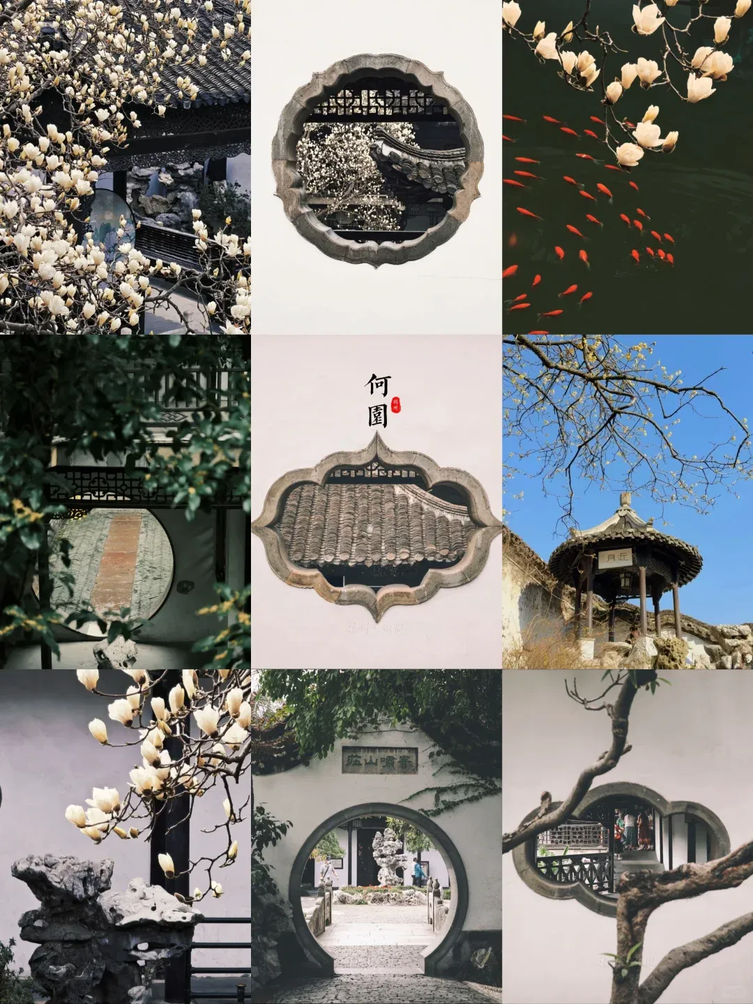 53fe08388a0396ae2ca07810479a137c-sz_2058353