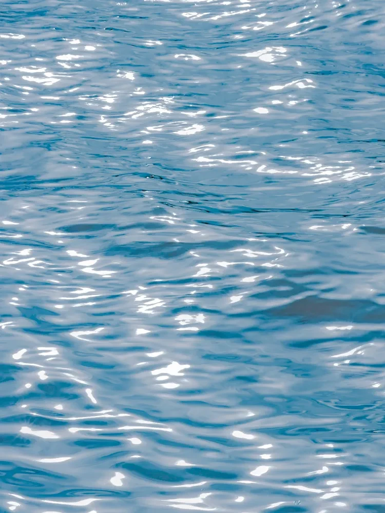 54475b8d7452c0f28f1bb13263d9f93d-sz_2118971