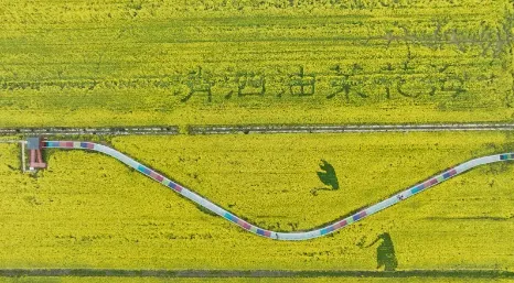 54716617ebb9e96229518bb725106a97-sz_294229