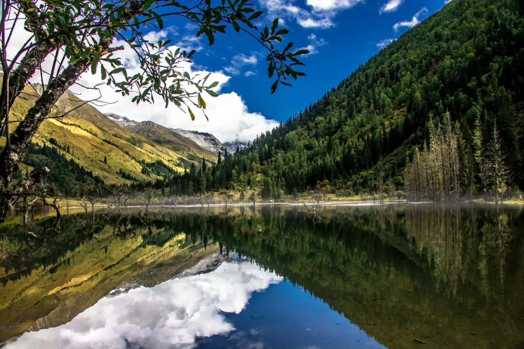 548474bca969cf3e63ed537b87491645-sz_356694-1 548474bca969cf3e63ed537b87491645-sz_356694-1