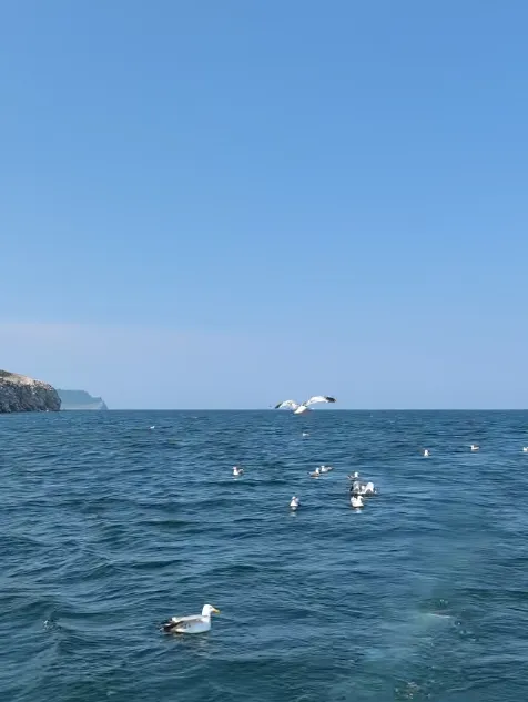 54b487facf5a268560e85220d069c44c-sz_297823