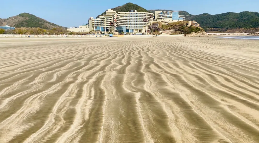 552acf68805fe4d4eb3f48968ea7c51e-sz_1299220-1