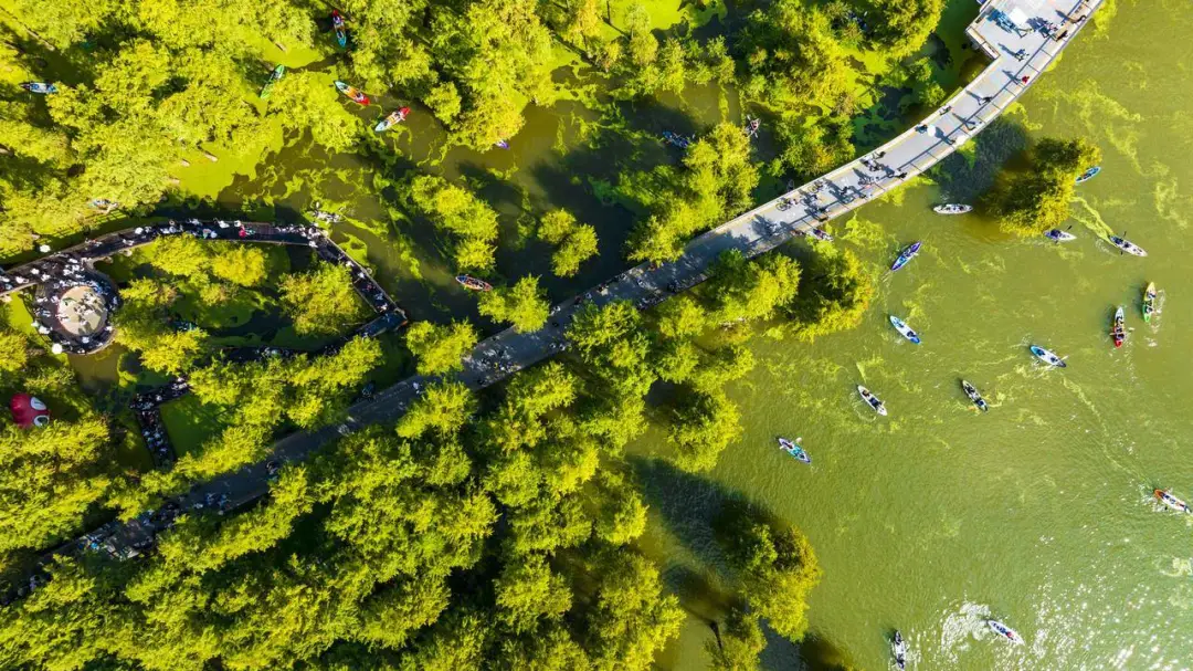 554067e6a5f35c2edc9b47acbf7f5aed-sz_255001