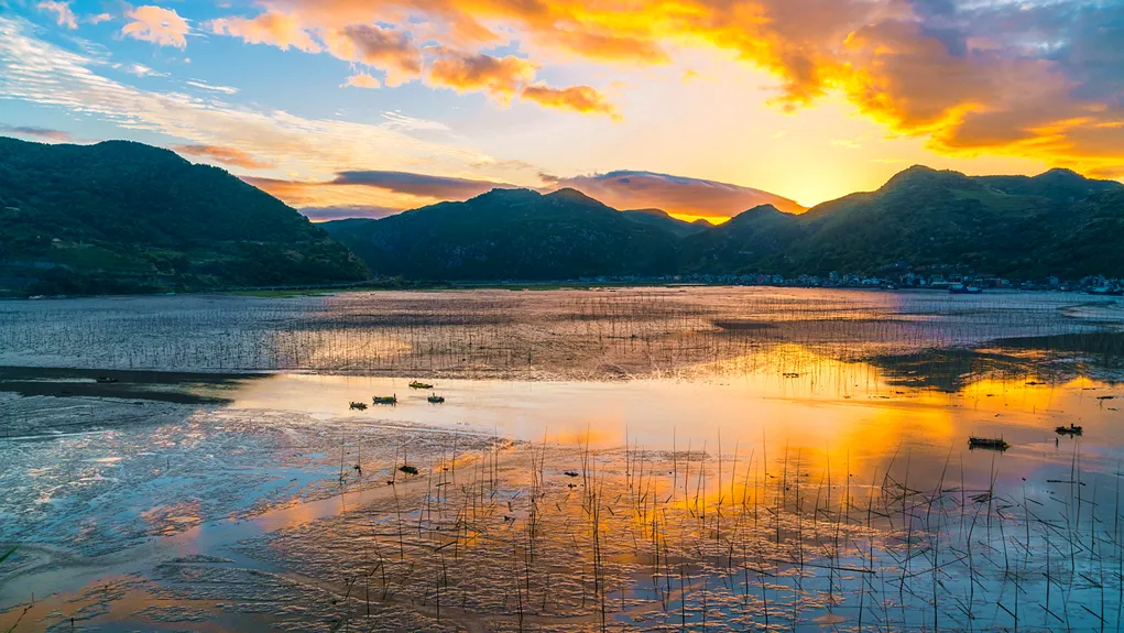 562f4355867fcfa9c3b039cbea336276-sz_1080310 562f4355867fcfa9c3b039cbea336276-sz_1080310