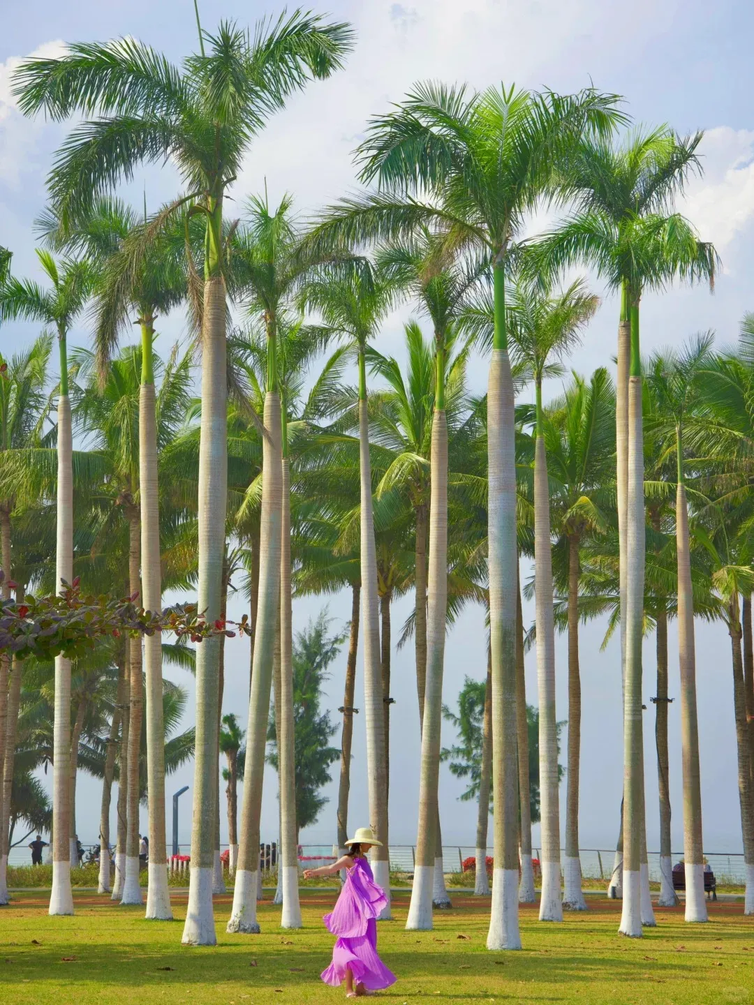 568a1b76caf4e36bc36b027e10aeb56c-sz_569603