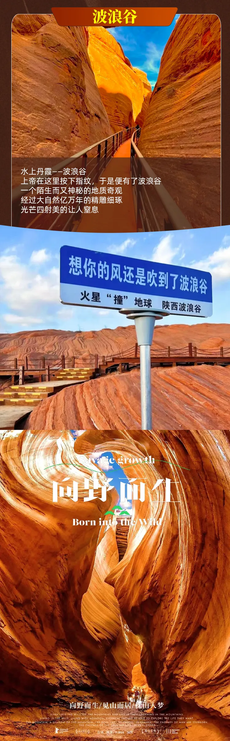 569904b6b810c86660c8c46c9118d5db-sz_1648108