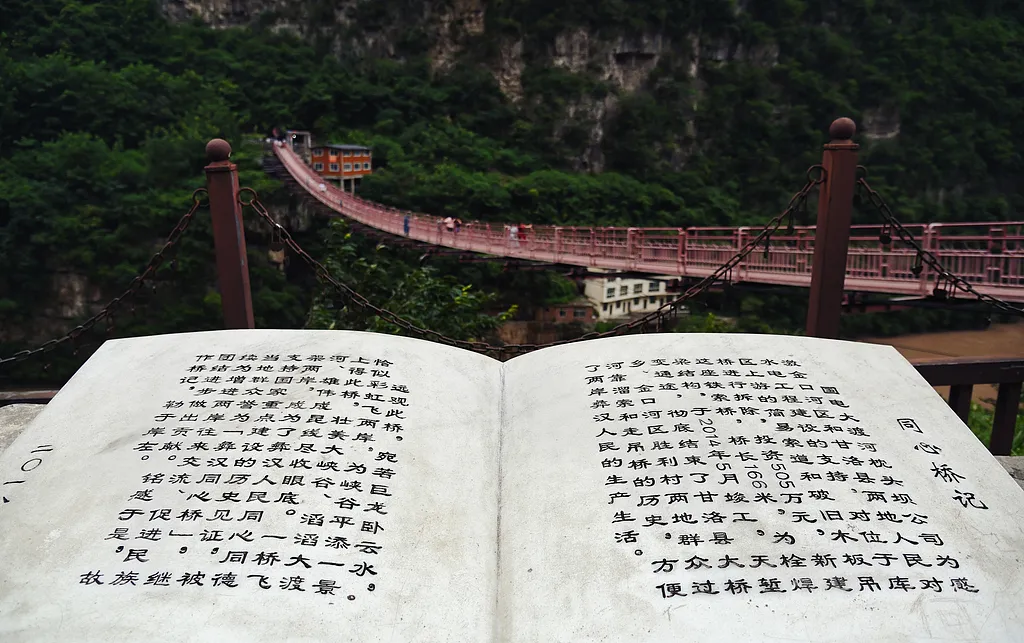 56fccb60b5afb4d1644b8b97e51a9435-sz_765423