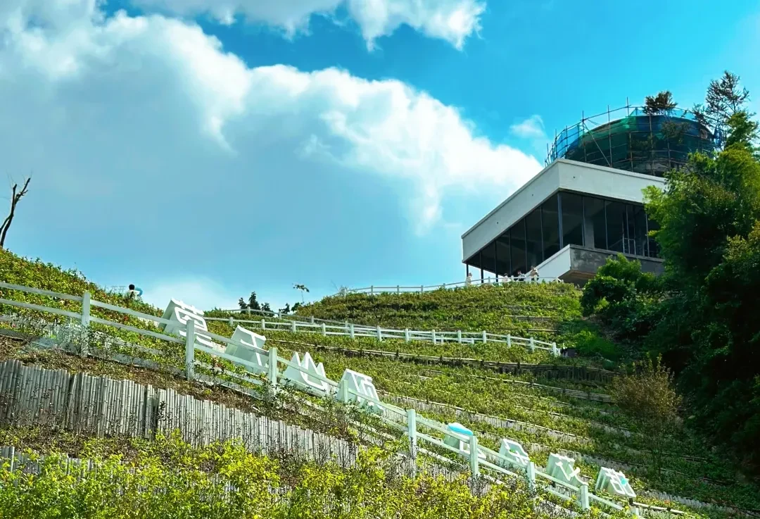 56fcd14584640cf59fa5f4e4a5f558bd-sz_3623802