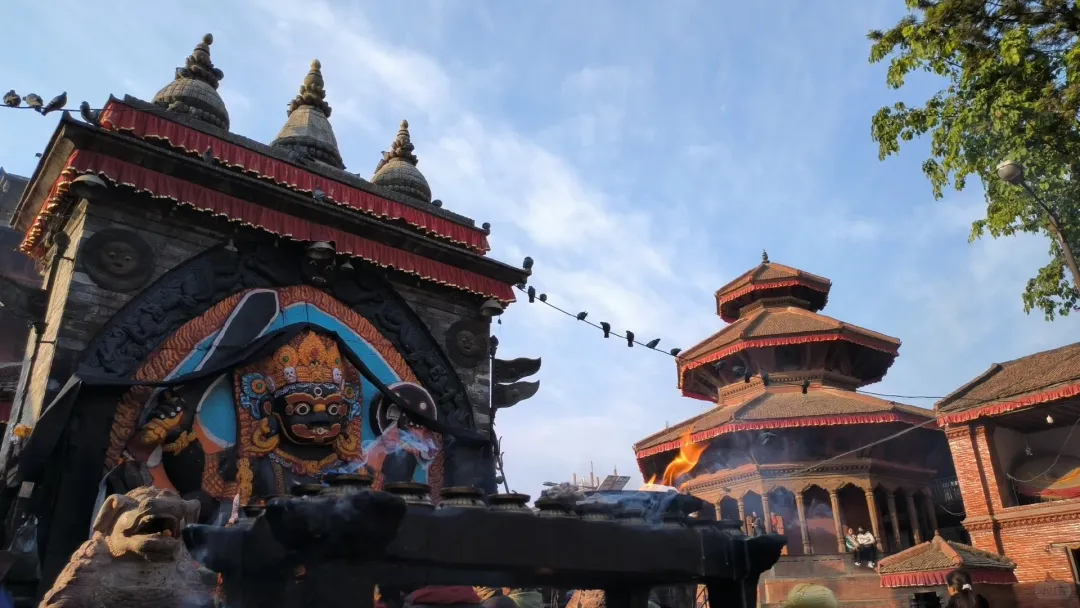 5750dd1d5bb94f088ed8f66379c331a6-sz_482462