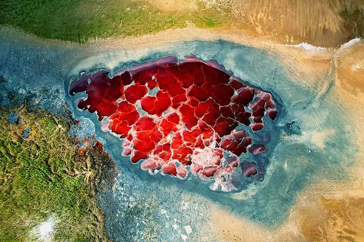 57c524dd9dcf162aa32bd73f08619694-sz_119710