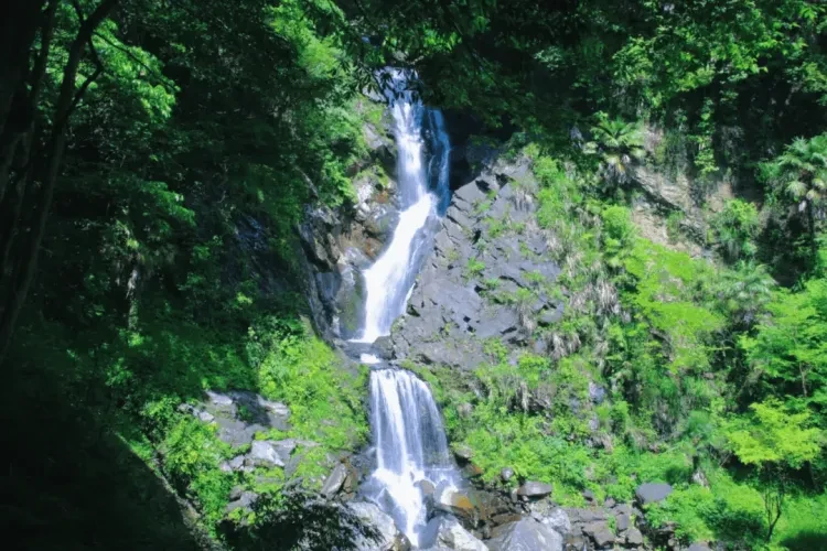 589fa1985373c716da653a03f676aaf4-sz_559335